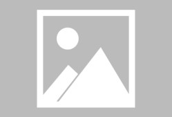 法国杯关键时刻再迎强敌，多伦多猛龙战术微调，主帅态度：态度坚定，临场指挥获称赞的简单介绍-欧博官网